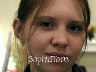 SophiaTorn