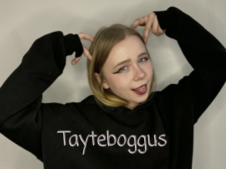 Tayteboggus