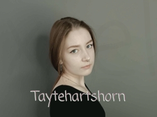Taytehartshorn