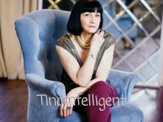 Tinaintelligent
