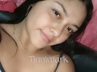 Tinnimark