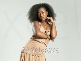 Violetgraice