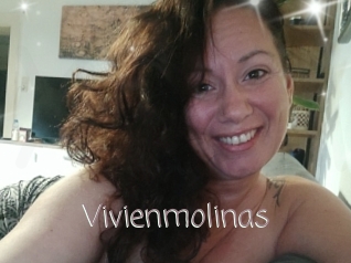 Vivienmolinas