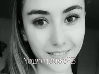 Yourmouse23